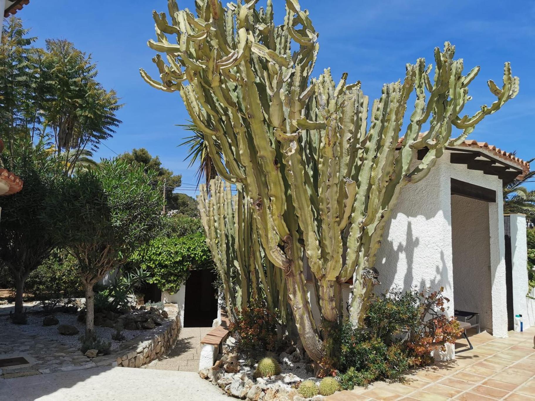 Villa Lo - Chill Out House - By Holiday Rentals Villamar Benissa Exterior photo